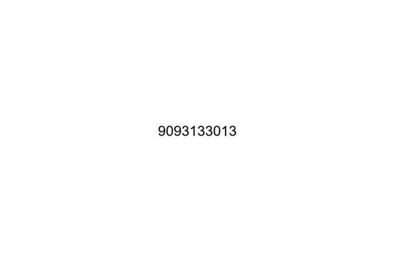 9093133013