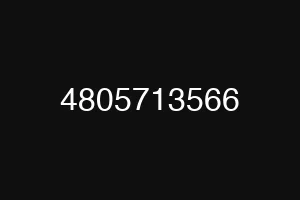 4805713566