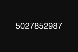 5027852987