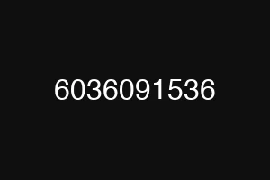 6036091536