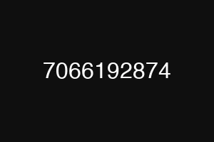 7066192874