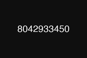 8042933450