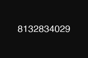 8132834029