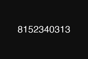 8152340313