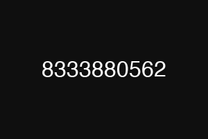 8333880562