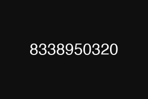 8338950320