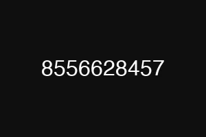 8556628457