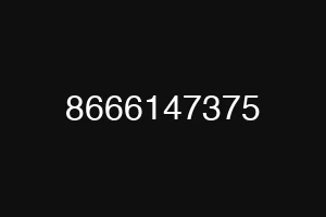 8666147375