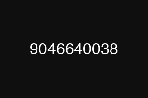 9046640038