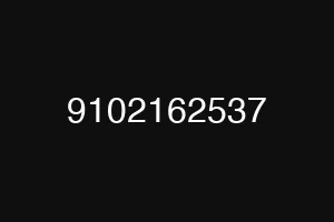 9102162537