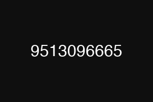 9513096665