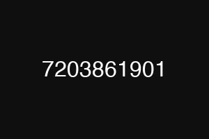 7203861901