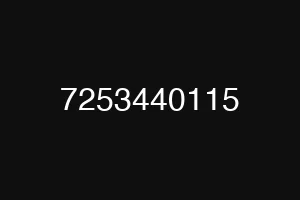 7253440115