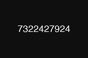 7322427924