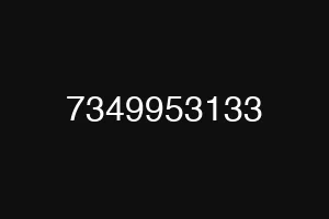 7349953133