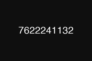 7622241132