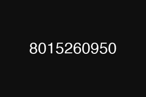 8015260950