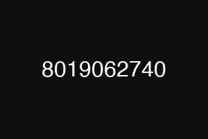 8019062740