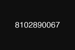8102890067