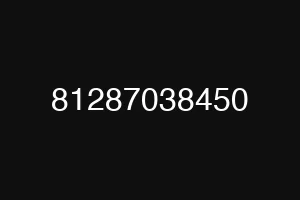 81287038450
