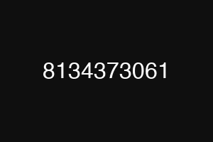 8134373061
