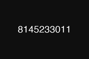 8145233011