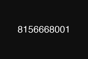 8156668001