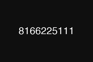 8166225111