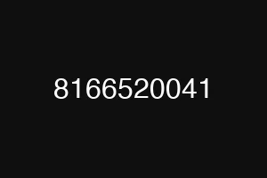 8166520041