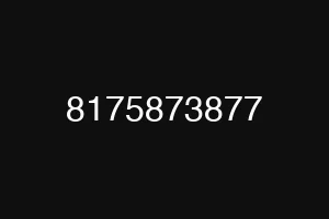 8175873877