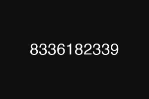 8336182339