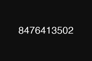 8476413502