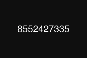 8552427335