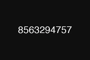8563294757