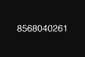 8568040261