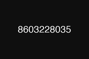 8603228035