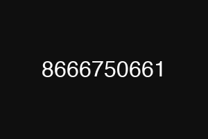 8666750661
