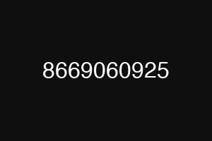 8669060925