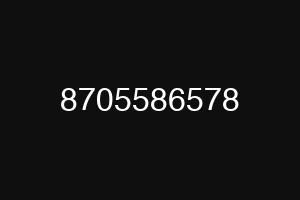 8705586578