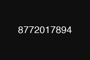 8772017894