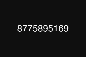 8775895169